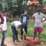 CG News : गोवंश का कटा सिर मिलने से आक्रोश