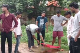 CG News : गोवंश का कटा सिर मिलने से आक्रोश