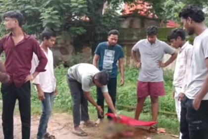 CG News : गोवंश का कटा सिर मिलने से आक्रोश